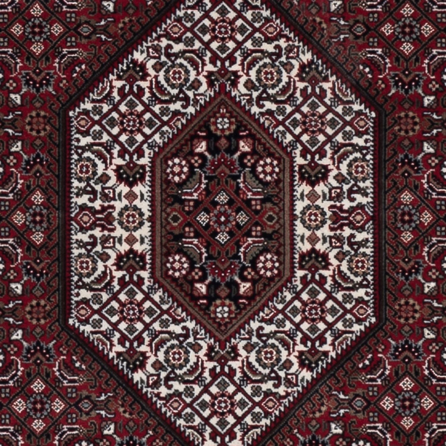 Tapis oriental - Bidjar - Indus - 182 x 122 cm - beige foncé