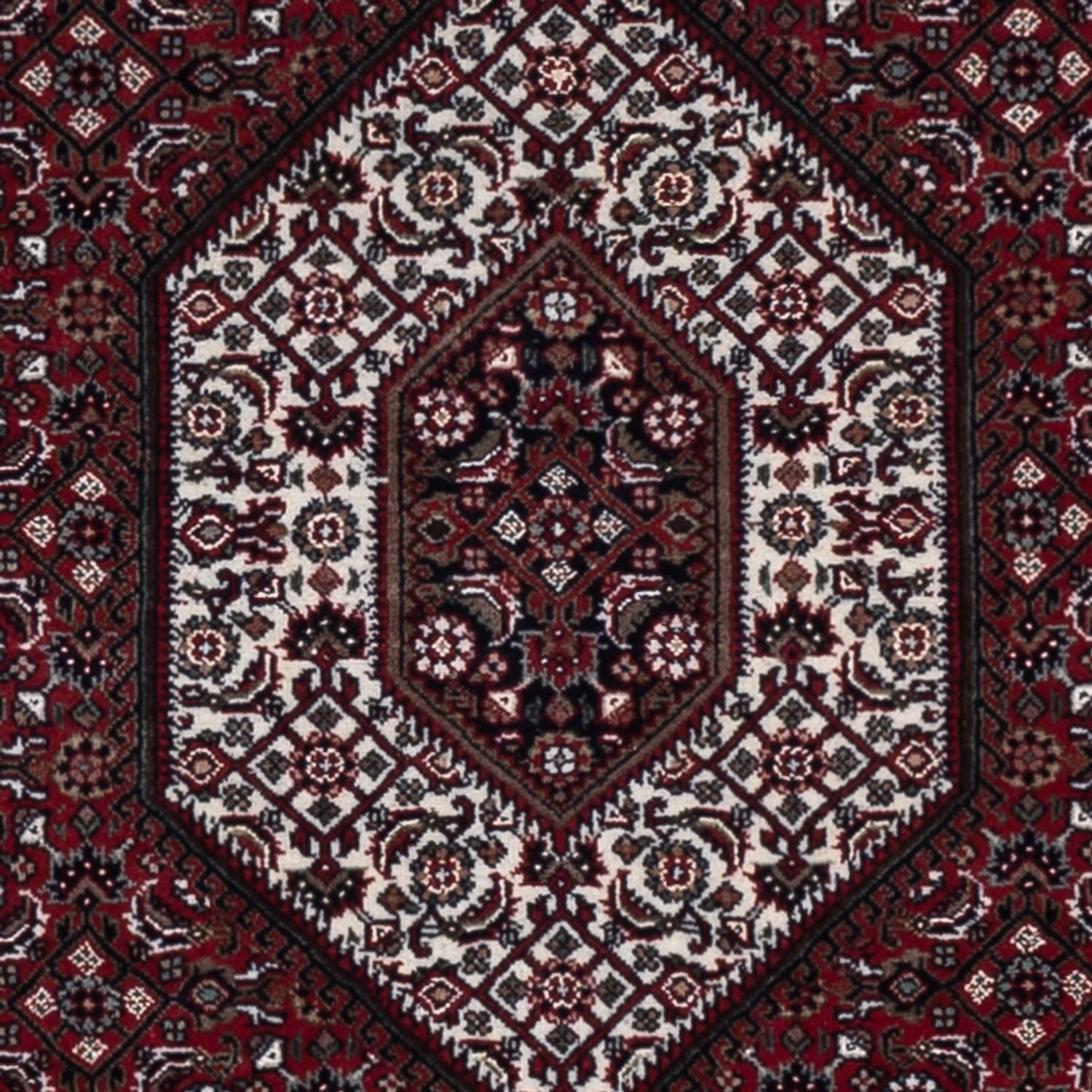Tapis oriental - Bidjar - Indus - 182 x 123 cm - beige foncé