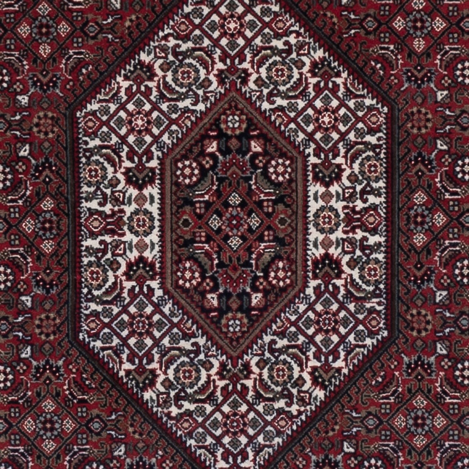 Tapis oriental - Bidjar - Indus - 184 x 121 cm - beige foncé