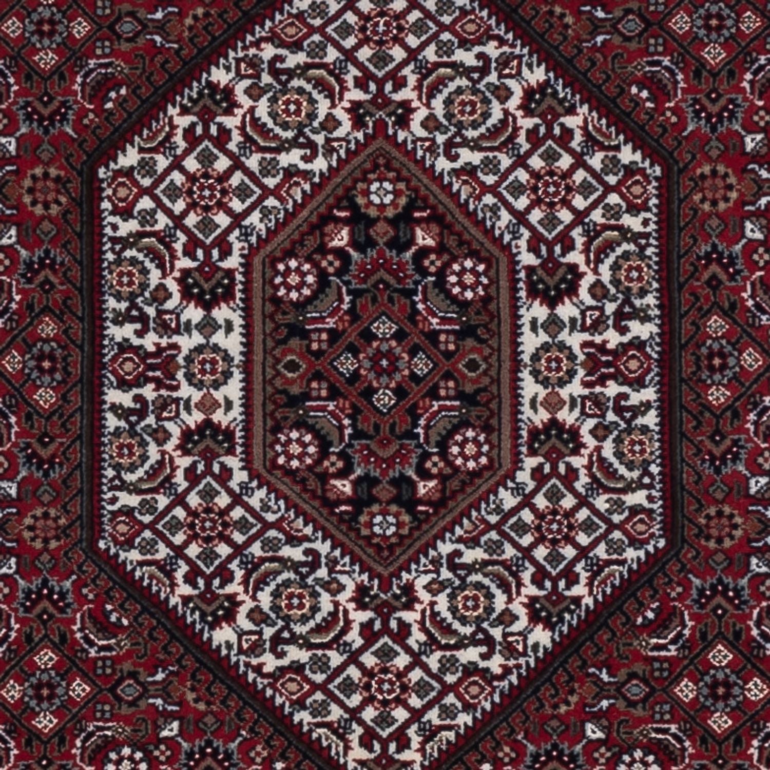 Tapis oriental - Bidjar - Indus - 179 x 122 cm - beige foncé