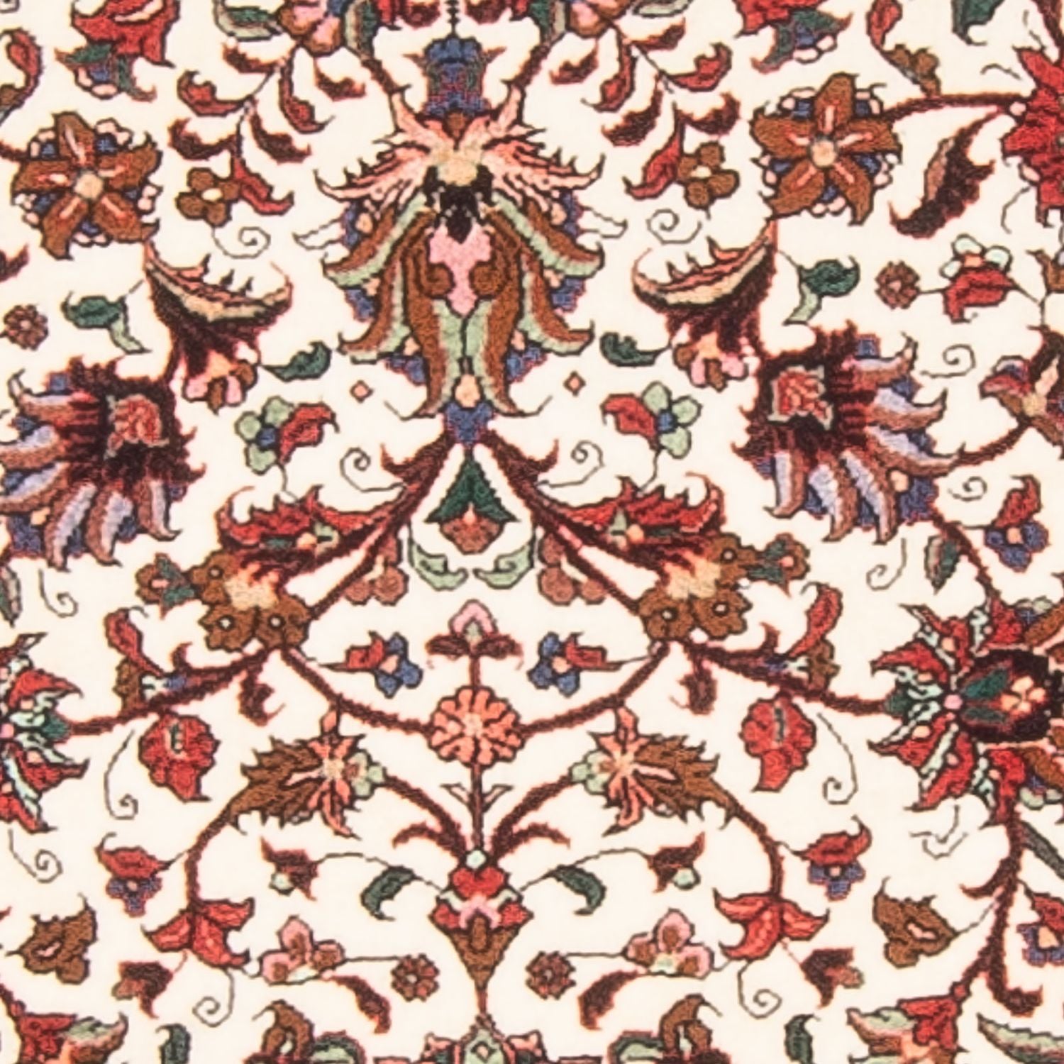 Tapis de couloir Tapis persan - Bidjar - 244 x 73 cm - beige
