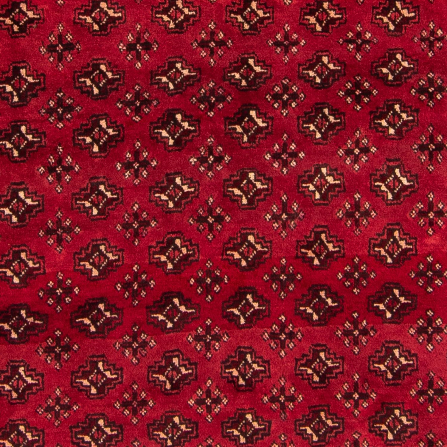 Tapis Turkaman - 239 x 130 cm - rouge