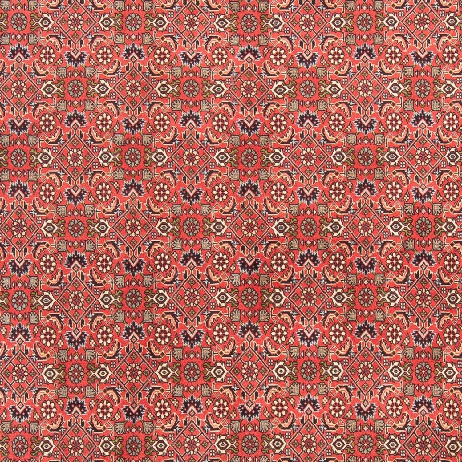 Tapis persan - Bidjar - 300 x 198 cm - rouge