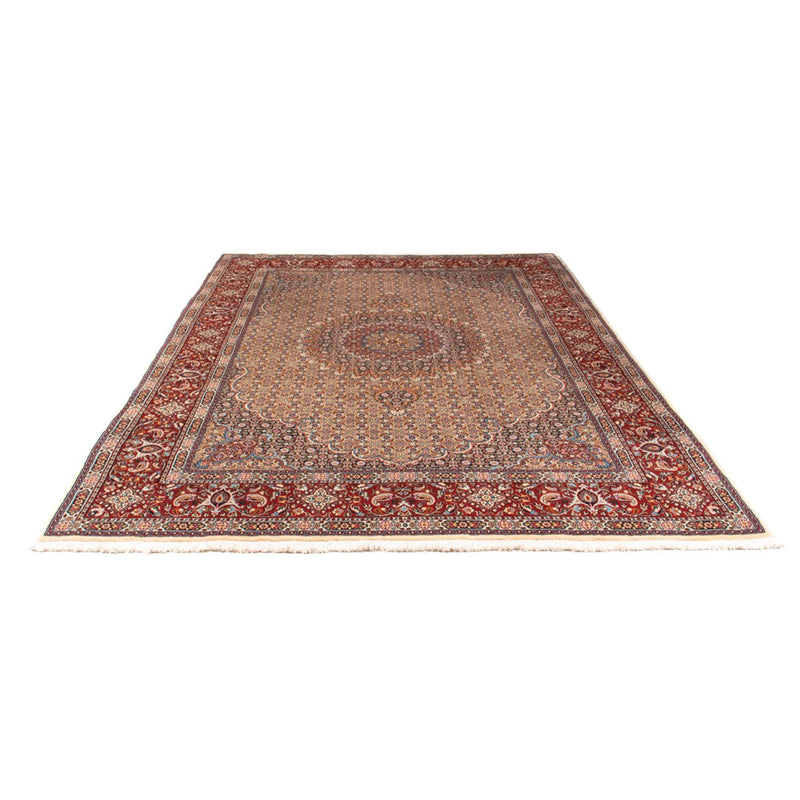 Tapis persan - Classique - 300 x 202 cm - multicolore