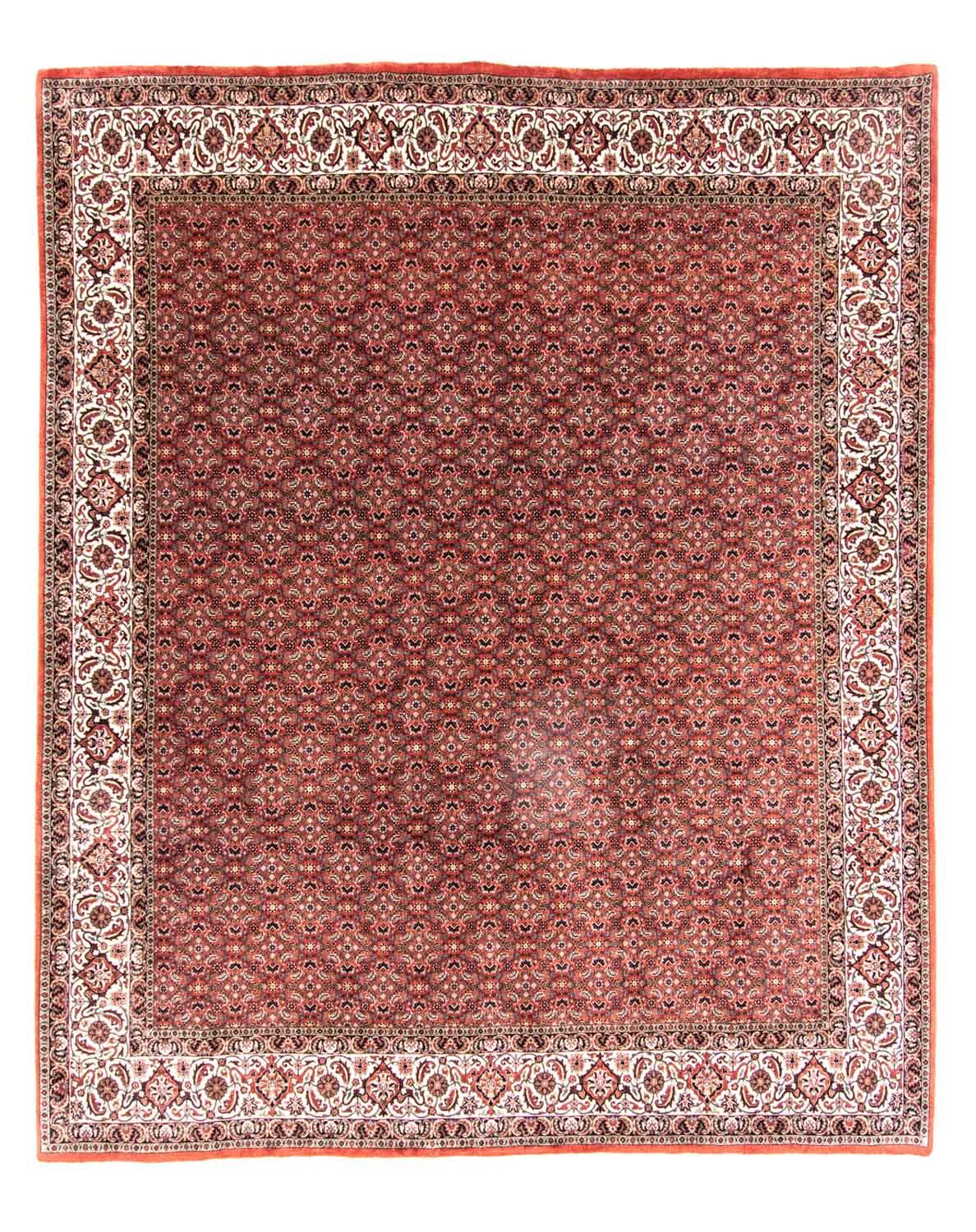 Tapis persan - Bidjar - 301 x 256 cm - marron