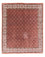 Tapis persan - Bidjar - 301 x 256 cm - marron