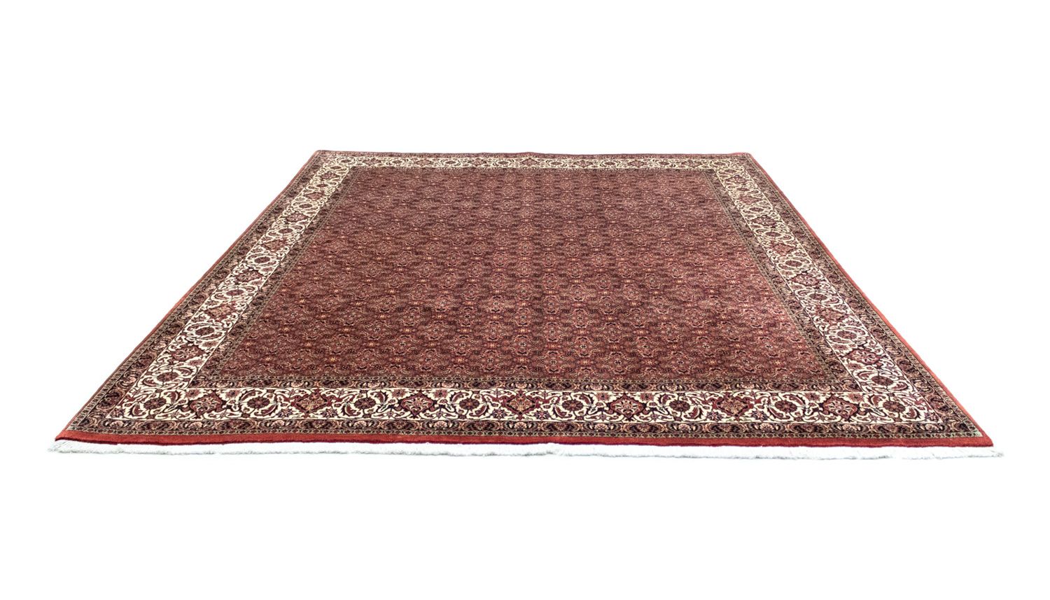 Tapis persan - Bidjar - 301 x 256 cm - marron