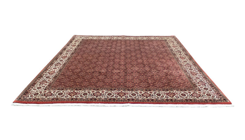 Tapis persan - Bidjar - 301 x 256 cm - marron