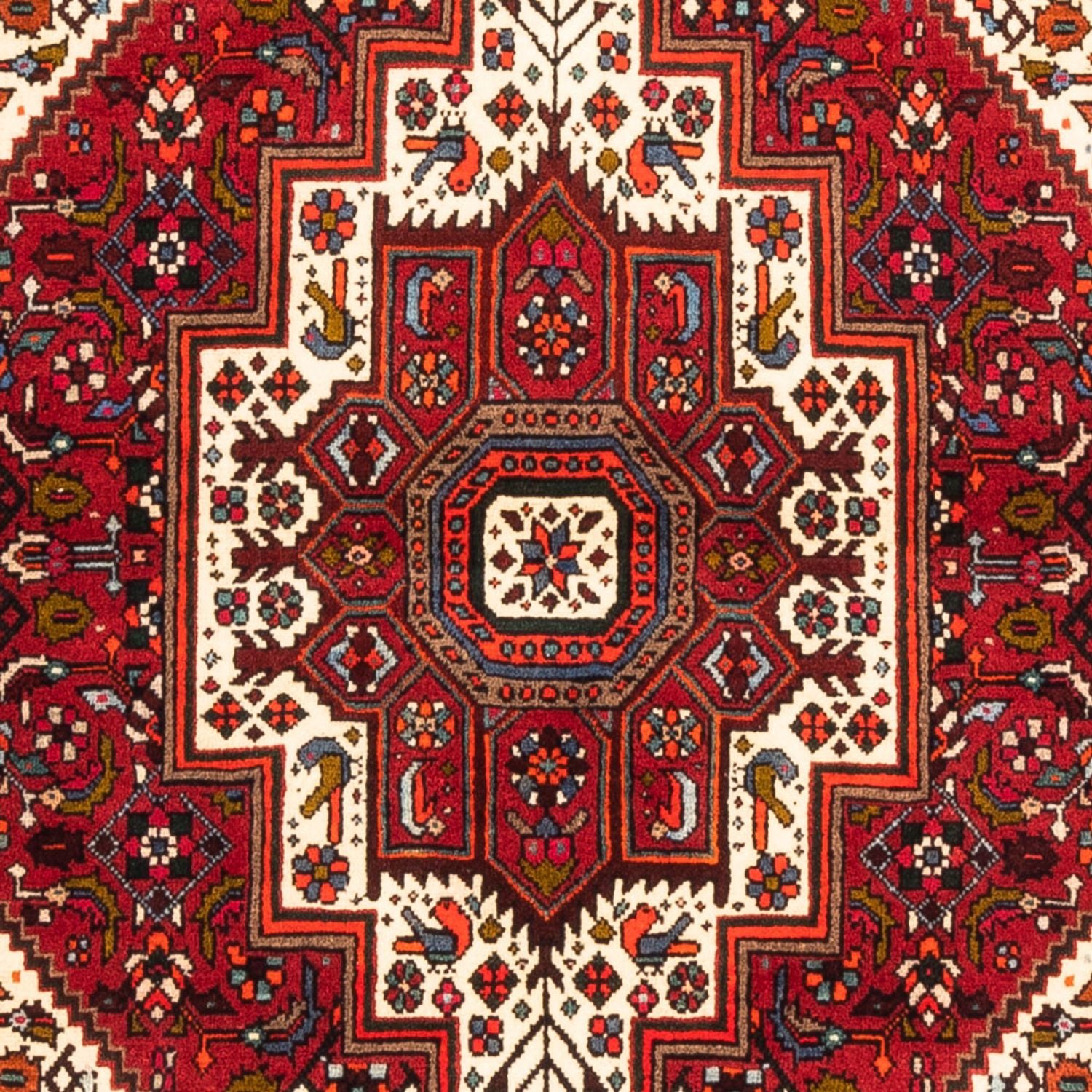 Tapis persan - Nomadic - 156 x 108 cm - rouge