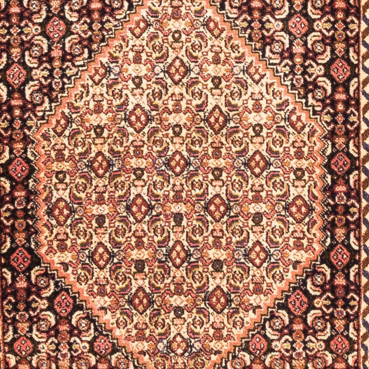 Tapis de couloir Tapis persan - Classique - 227 x 70 cm - beige foncé