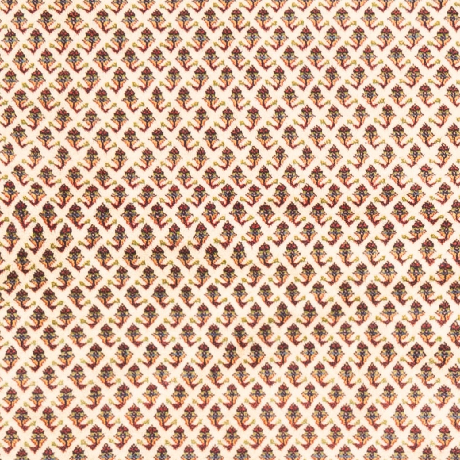 Tapis persan - Mir - 250 x 210 cm - beige clair