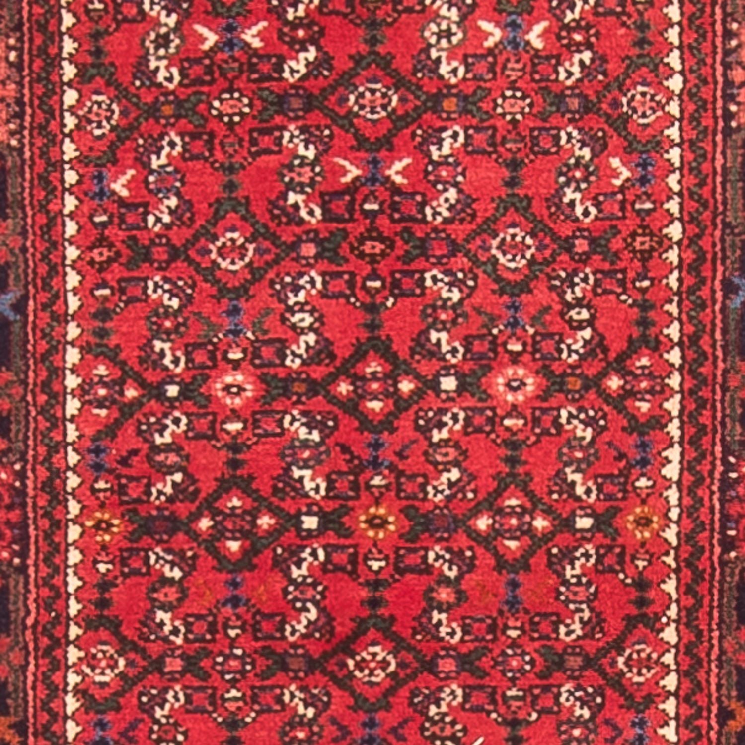 Tapis de couloir Tapis persan - Nomadic - 600 x 80 cm - rouge
