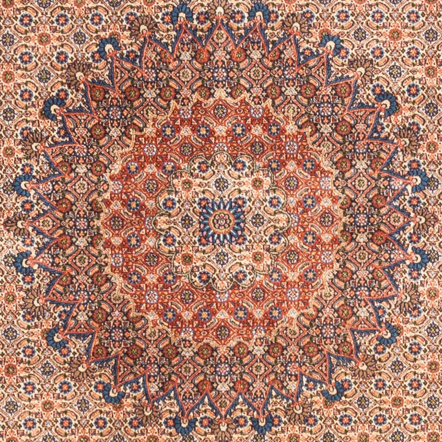 Tapis persan - Classique - 244 x 194 cm - beige foncé