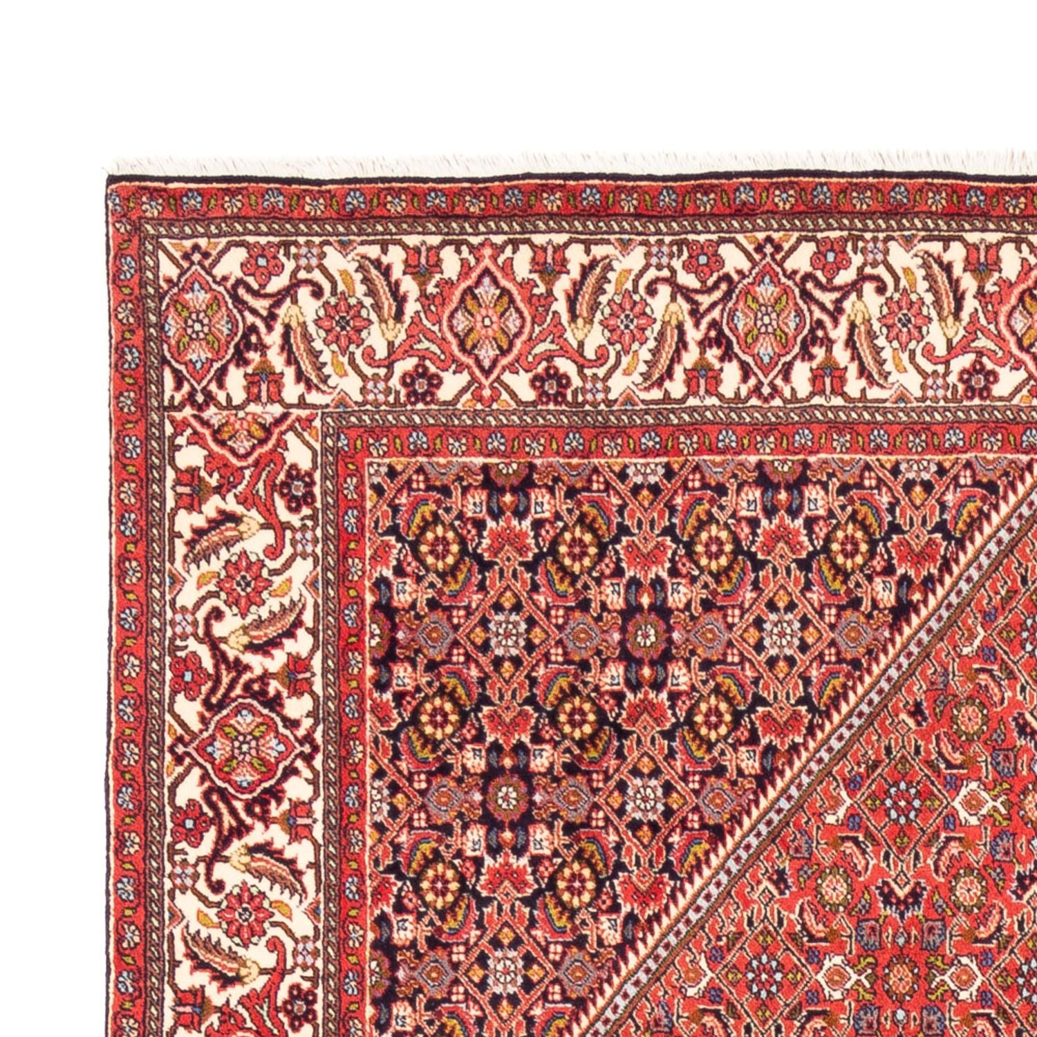 Tapis persan - Bidjar - 244 x 168 cm - rouge