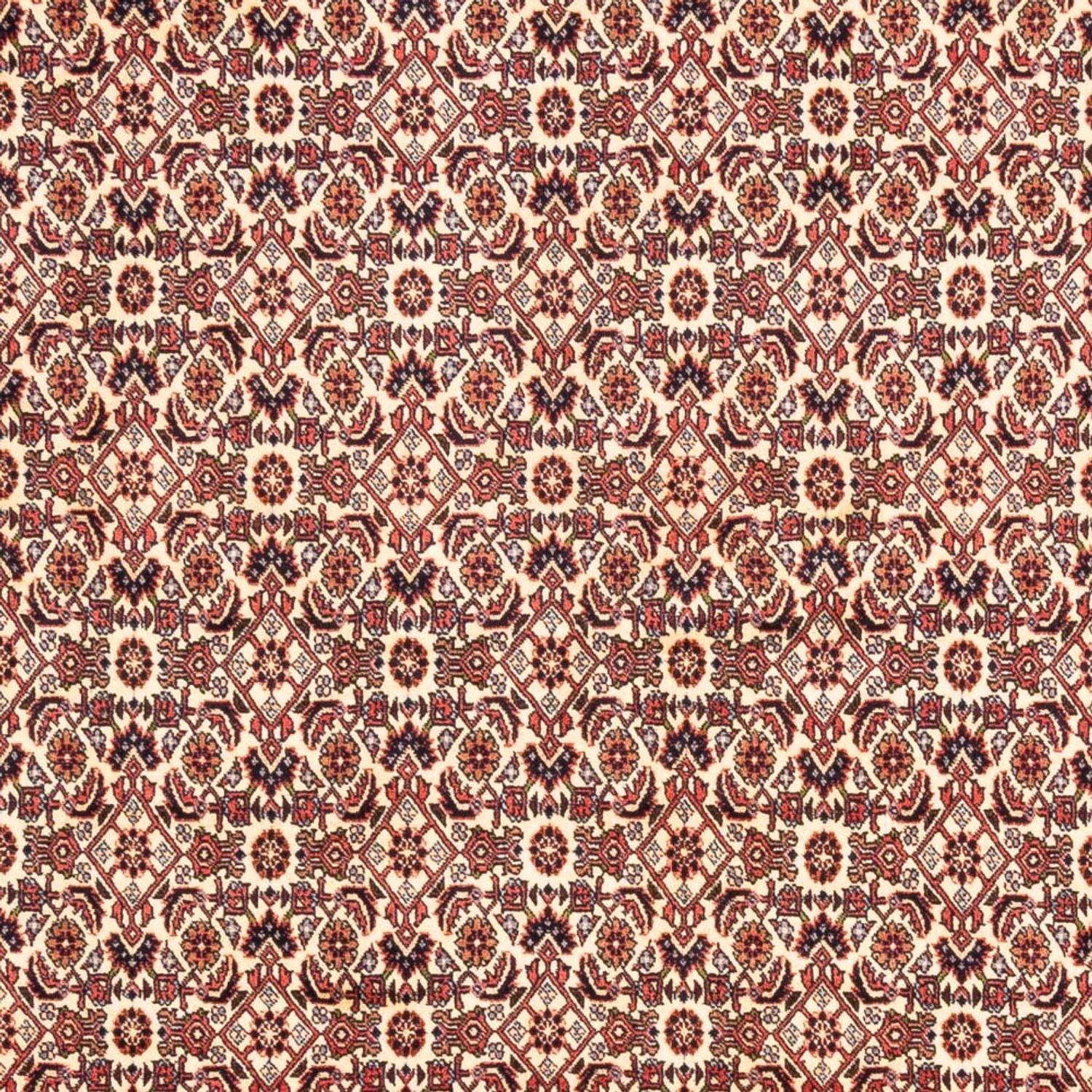 Tapis persan - Bidjar - 244 x 166 cm - beige