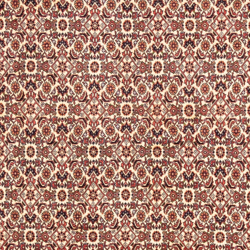 Tapis persan - Bidjar - 244 x 166 cm - beige