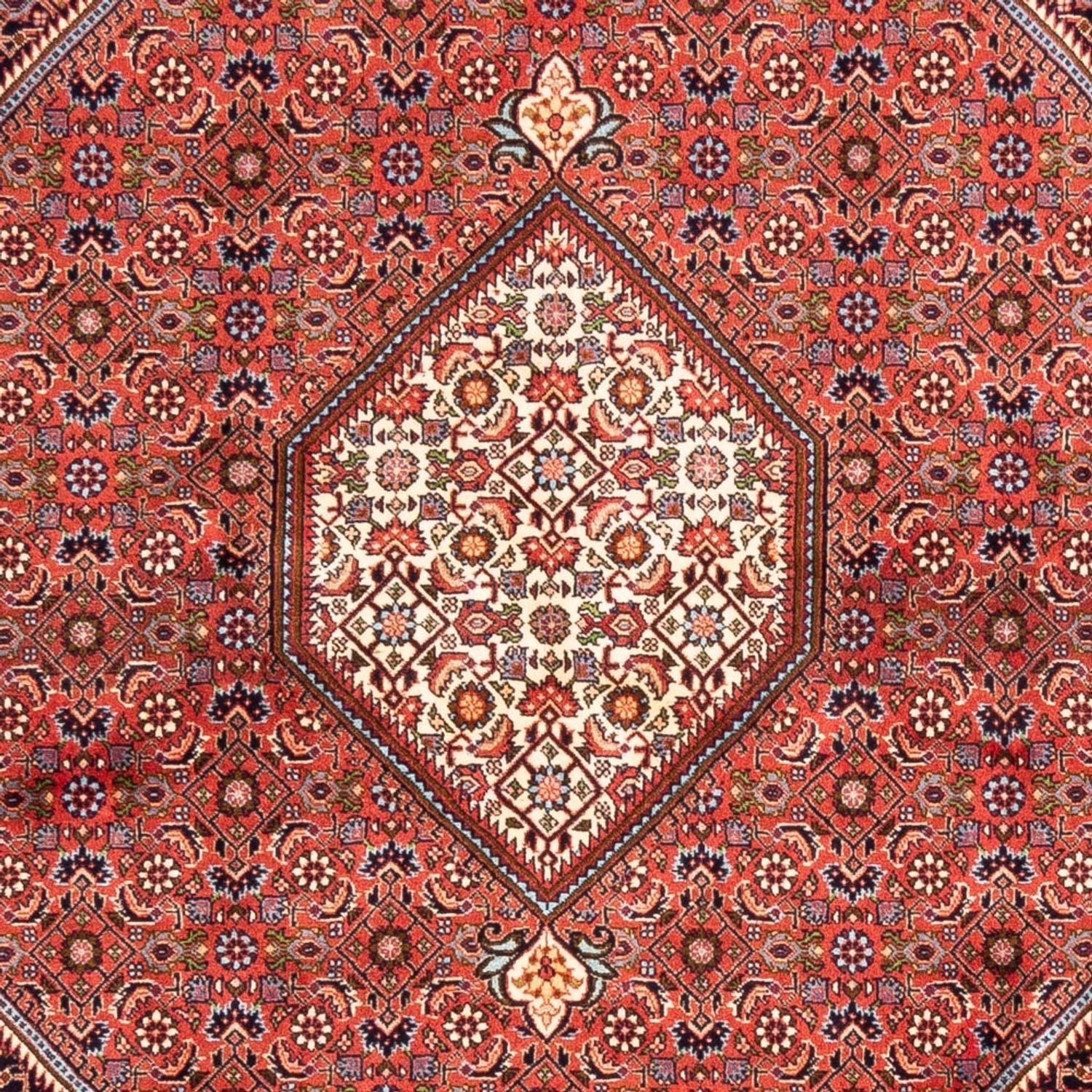 Tapis persan - Bidjar - 240 x 173 cm - rouge