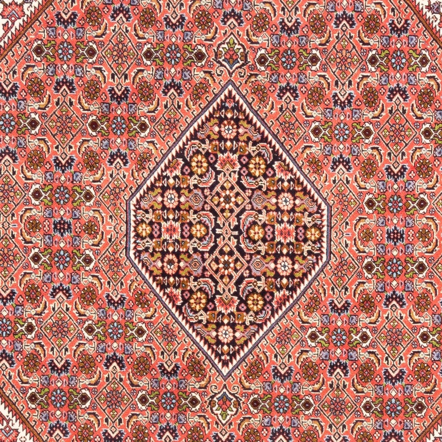Tapis persan - Bidjar - 247 x 172 cm - rouge