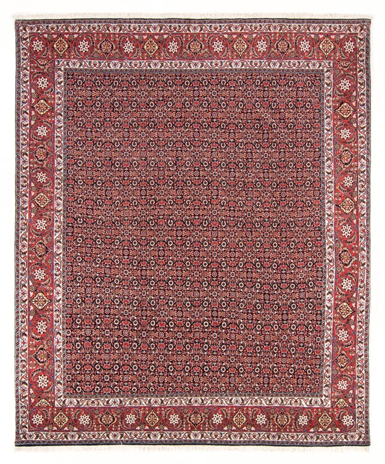 Tapis persan - Bidjar - 247 x 196 cm - bleu foncé