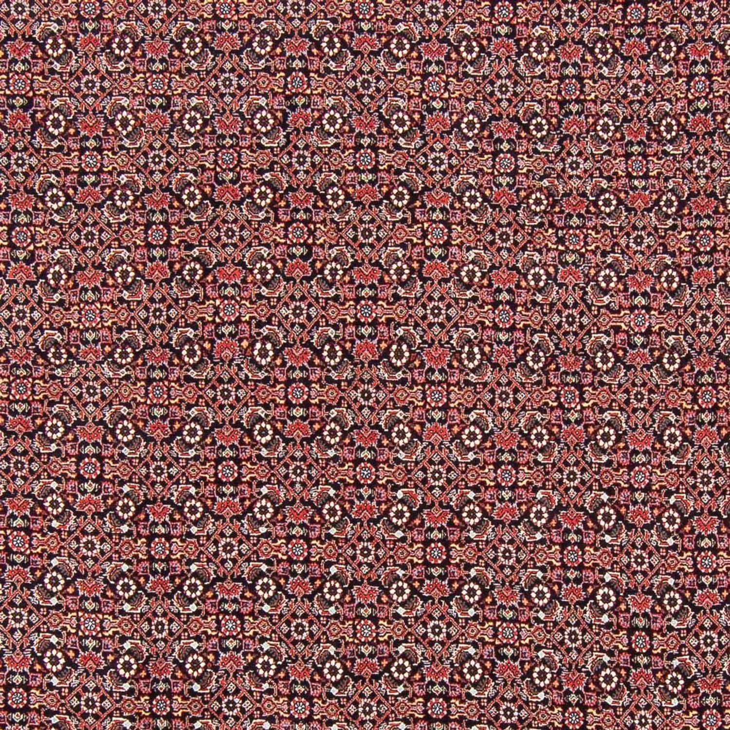 Tapis persan - Bidjar - 247 x 196 cm - bleu foncé