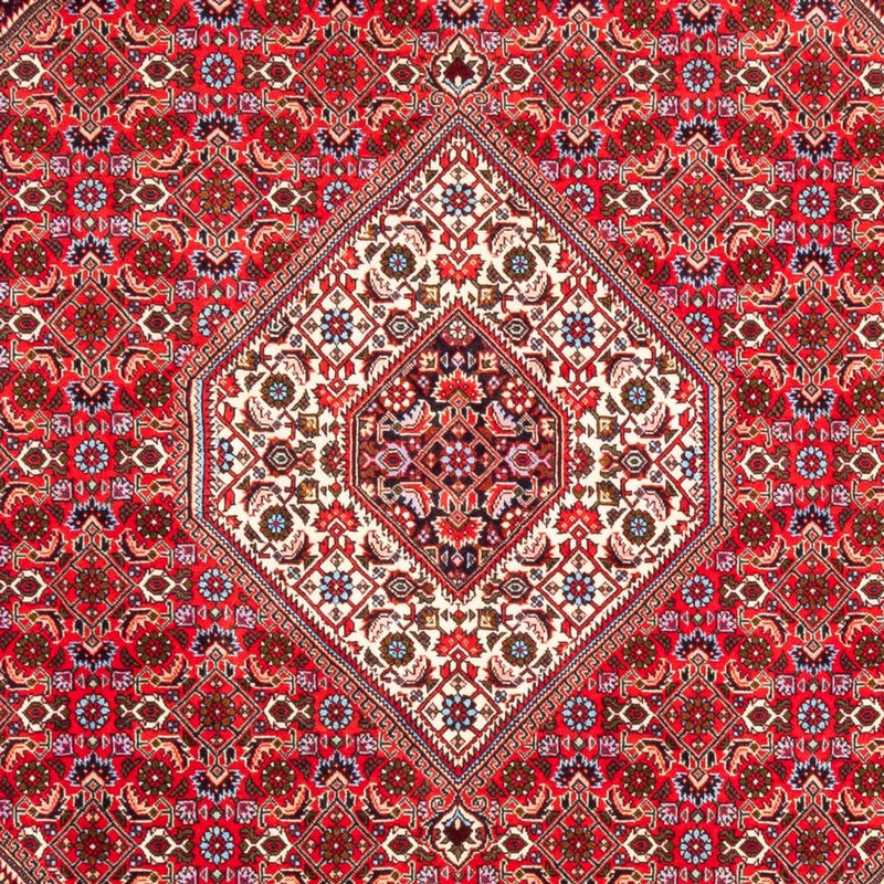 Tapis persan - Bidjar - 253 x 170 cm - rouge