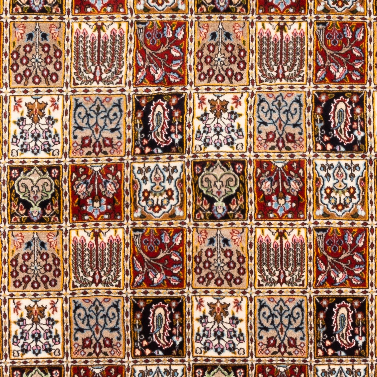 Tapis persan - Classique - 234 x 165 cm - multicolore