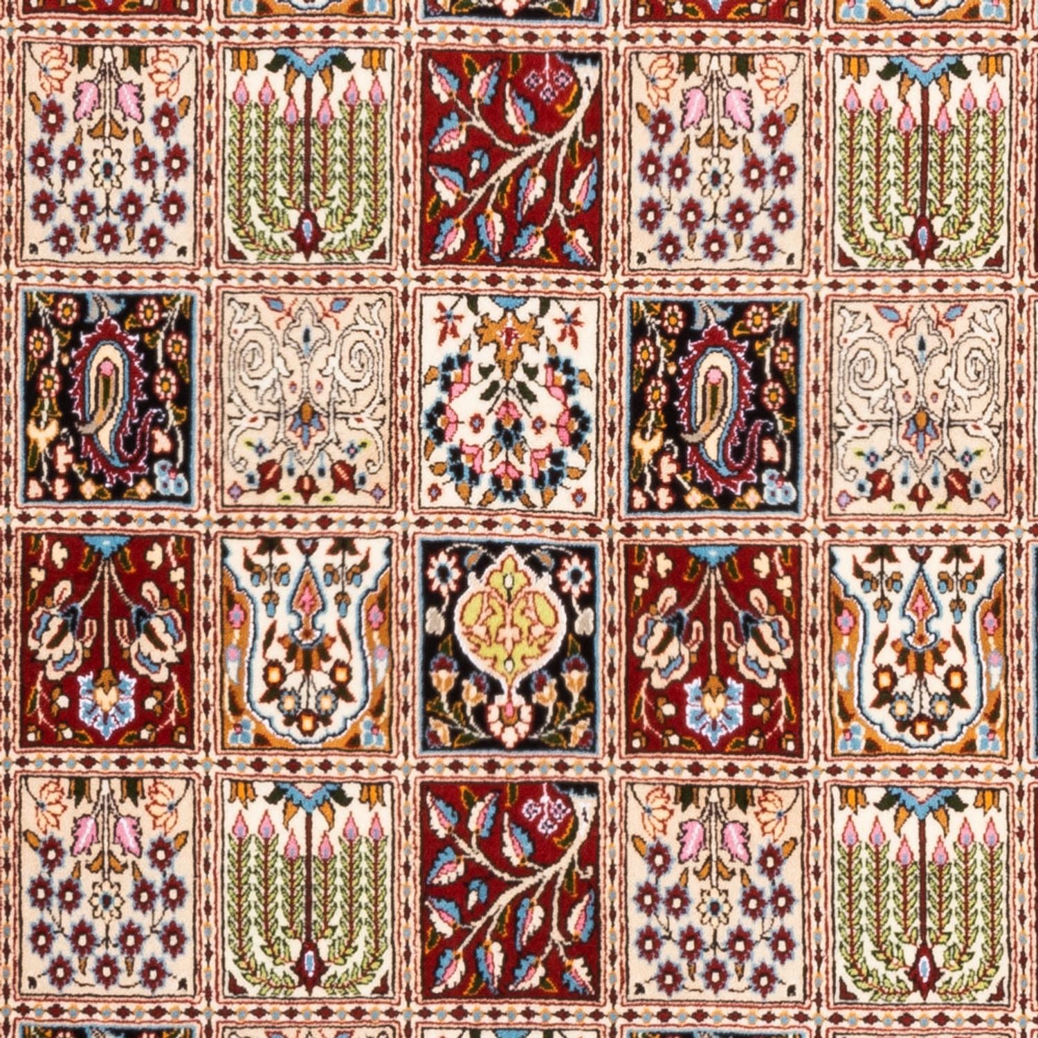 Tapis persan - Classique - 246 x 166 cm - multicolore
