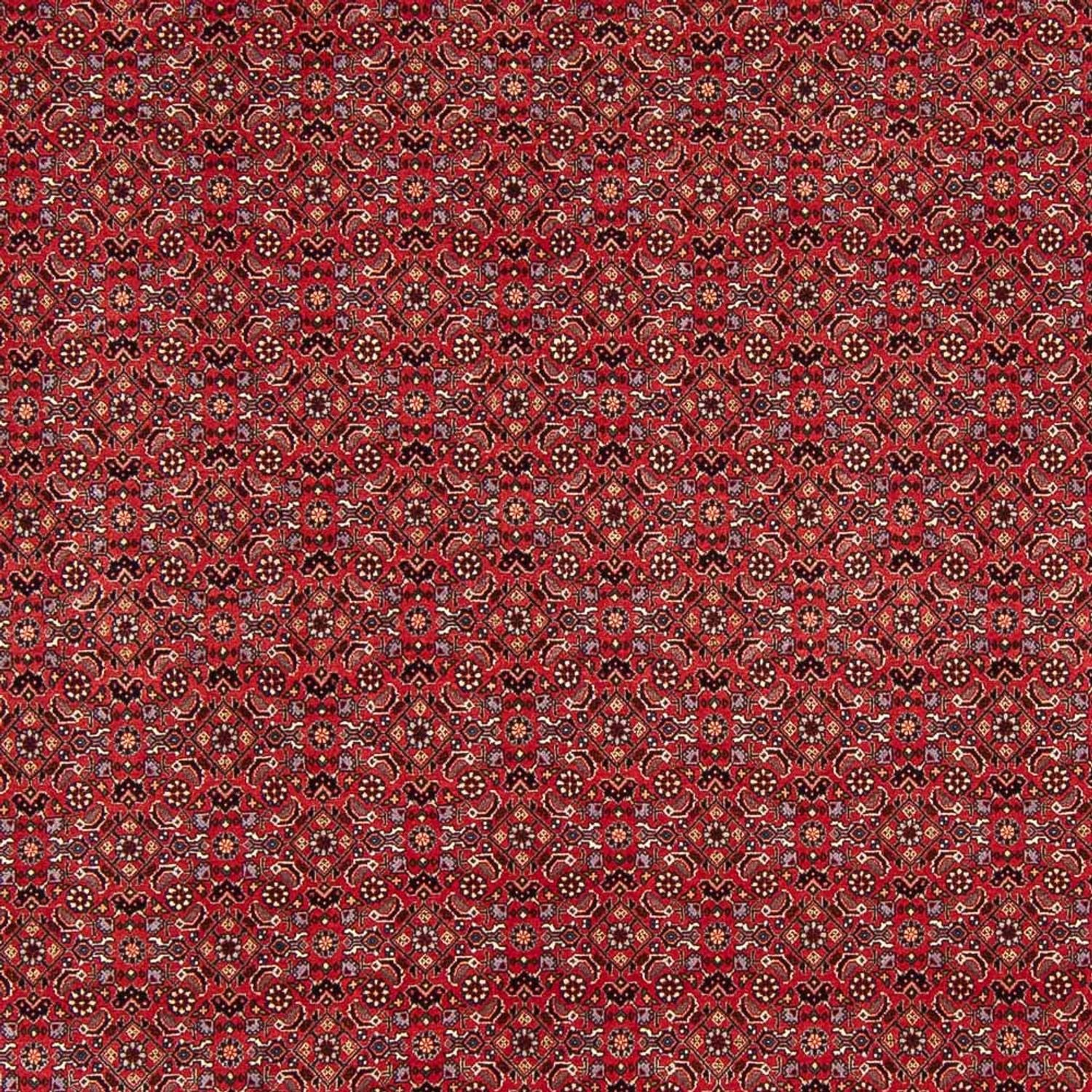Tapis persan - Bidjar - Royal - 272 x 217 cm - rouge foncé