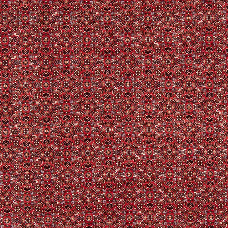 Tapis persan - Bidjar - Royal - 272 x 217 cm - rouge foncé