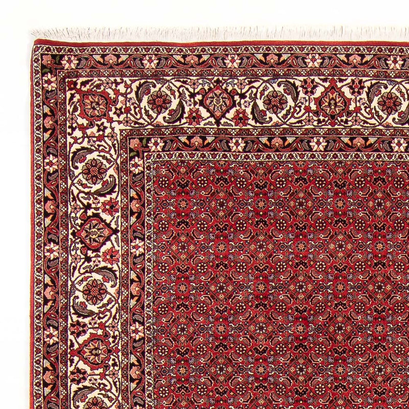 Tapis persan - Bidjar - Royal - 272 x 217 cm - rouge foncé