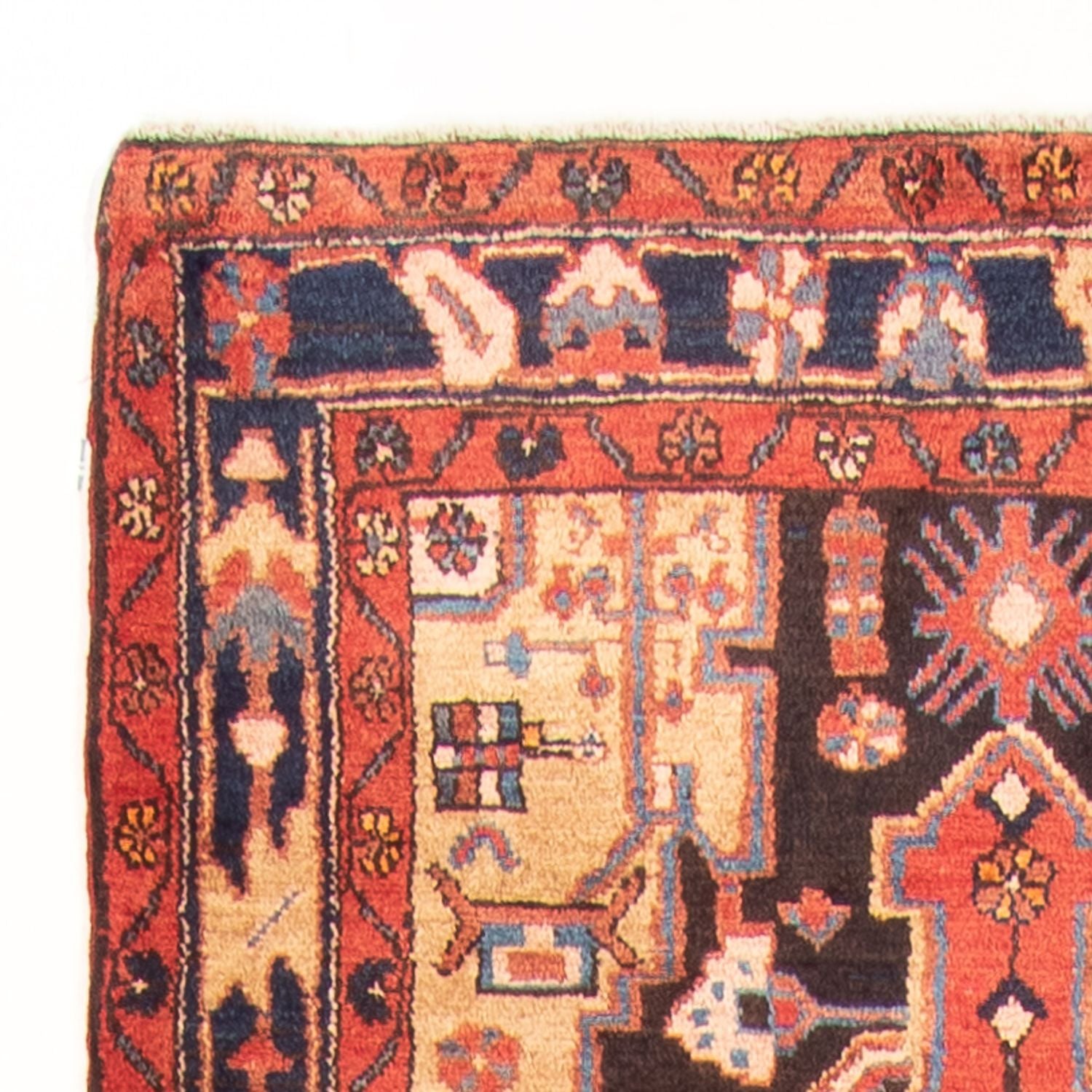 Tapis de couloir Tapis persan - Nomadic - 530 x 113 cm - bleu foncé