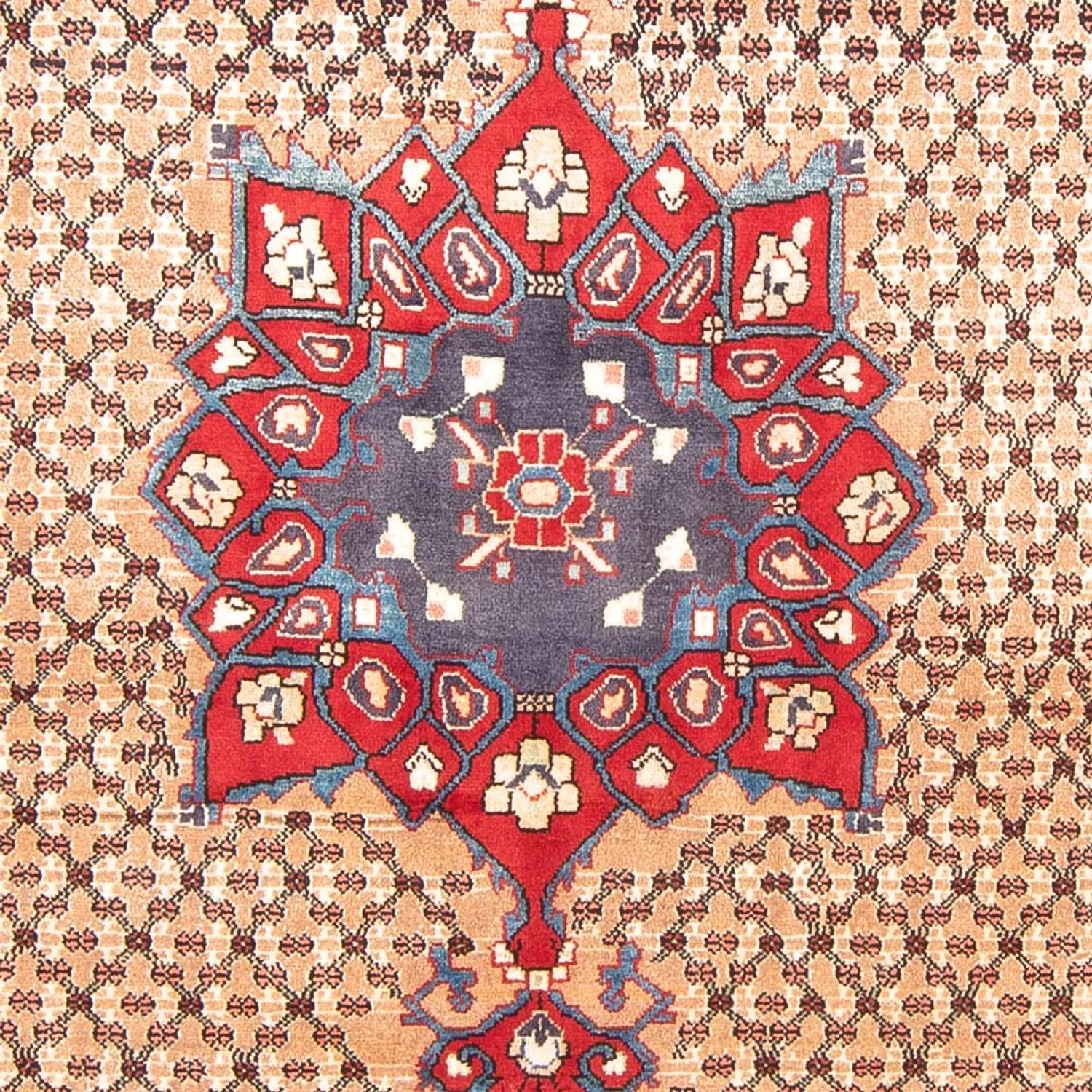 Tapis persan - Nomadic - 290 x 150 cm - multicolore