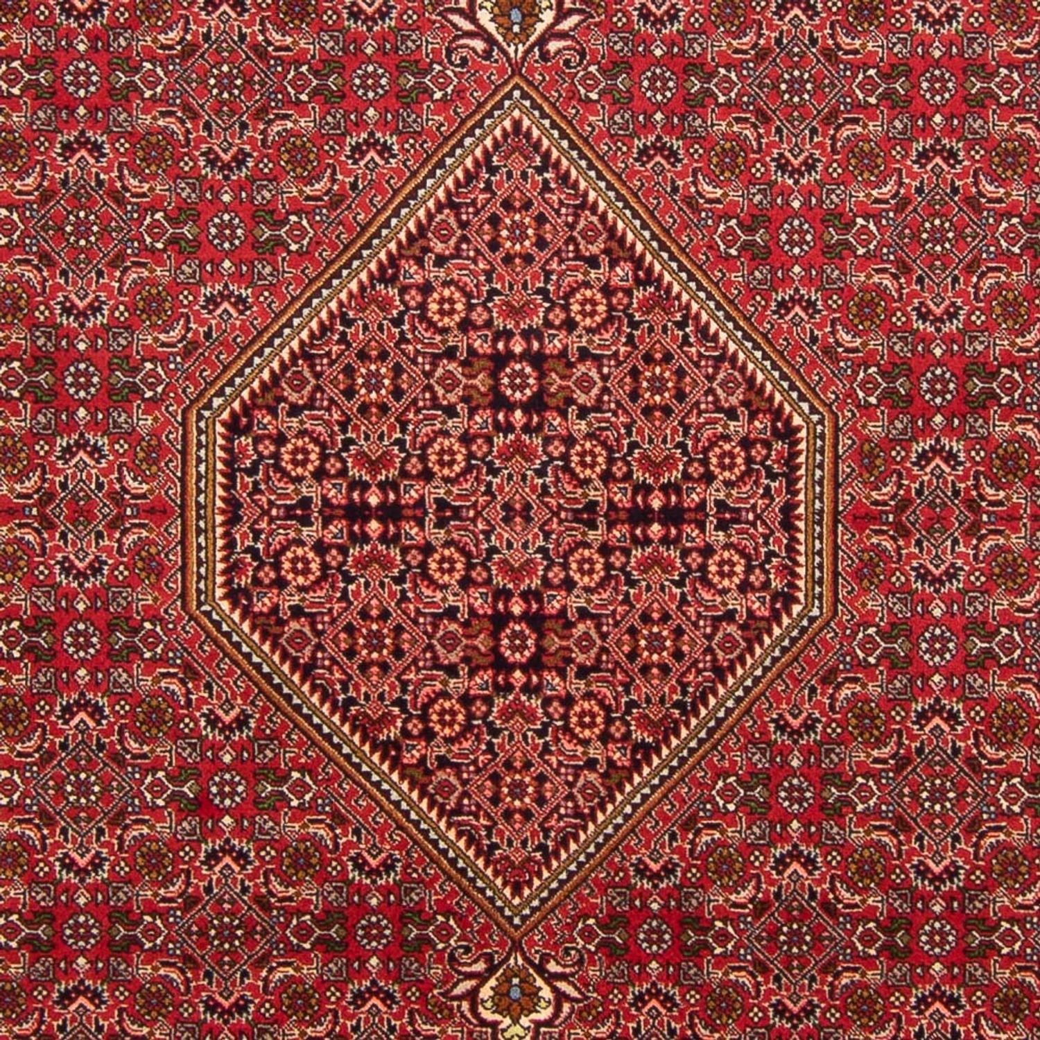 Tapis persan - Bidjar - 290 x 192 cm - rouge