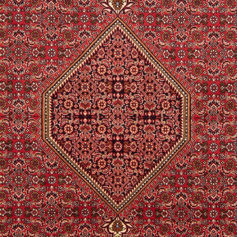 Tapis persan - Bidjar - 290 x 192 cm - rouge