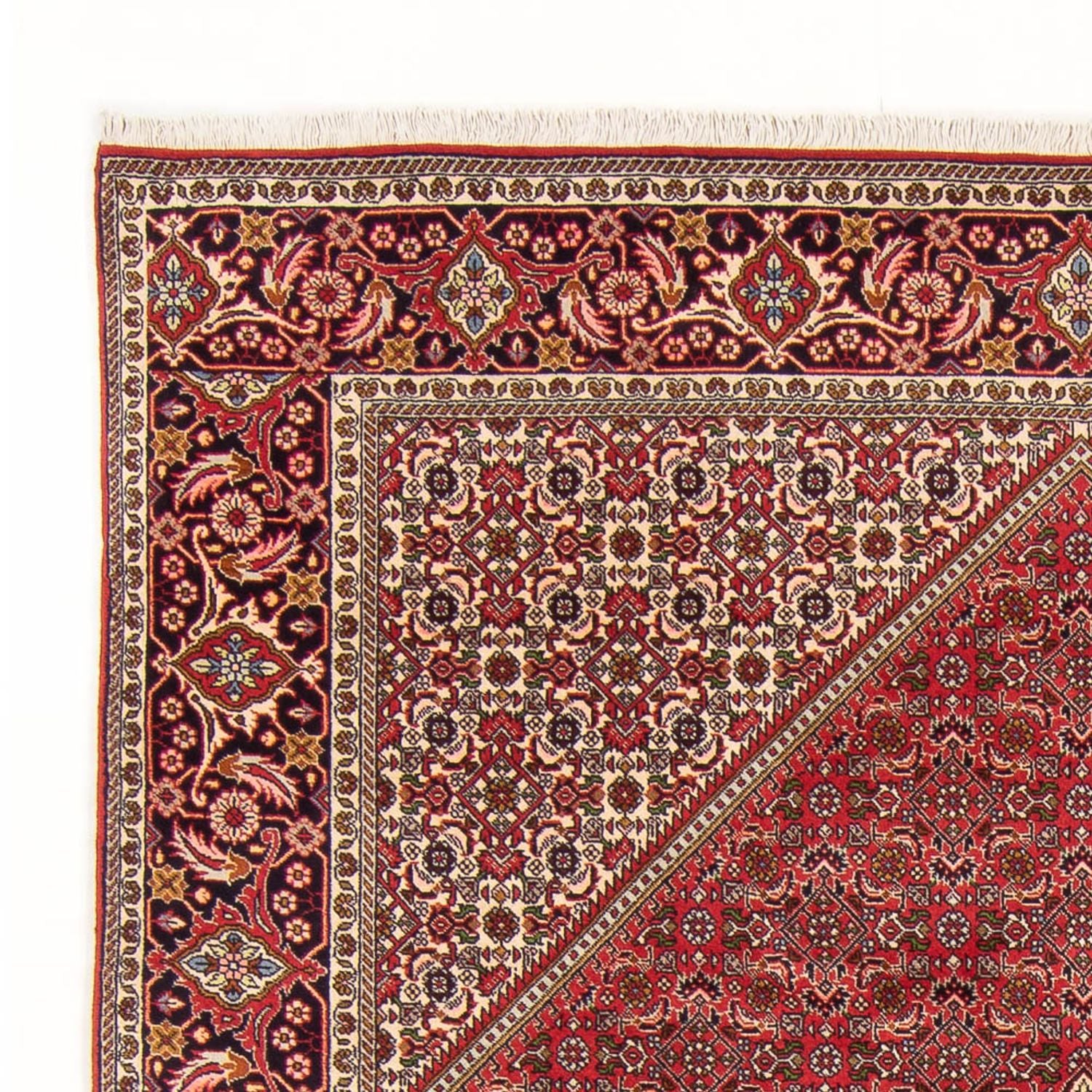 Tapis persan - Bidjar - 290 x 192 cm - rouge