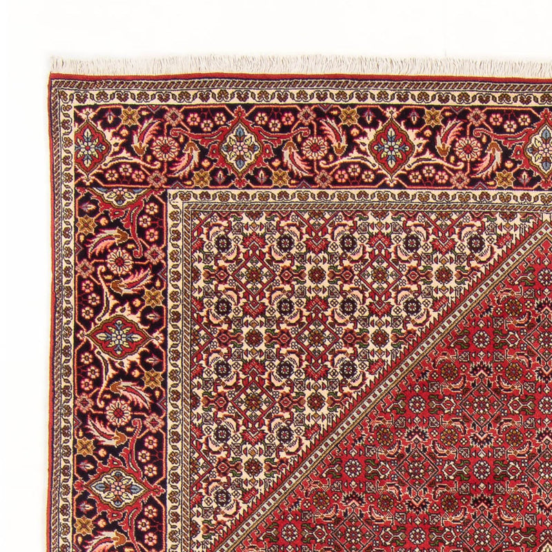 Tapis persan - Bidjar - 290 x 192 cm - rouge
