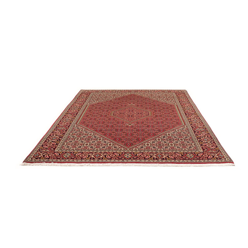 Tapis persan - Bidjar - 290 x 192 cm - rouge