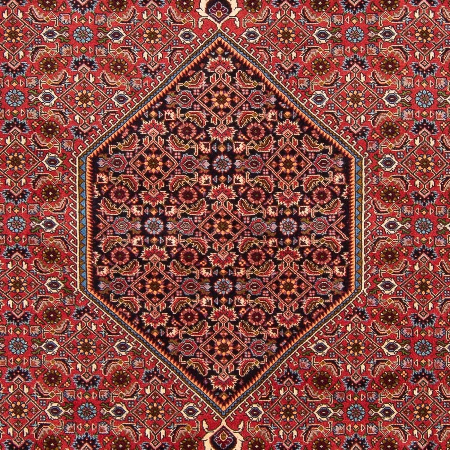 Tapis persan - Bidjar - 301 x 200 cm - rouge