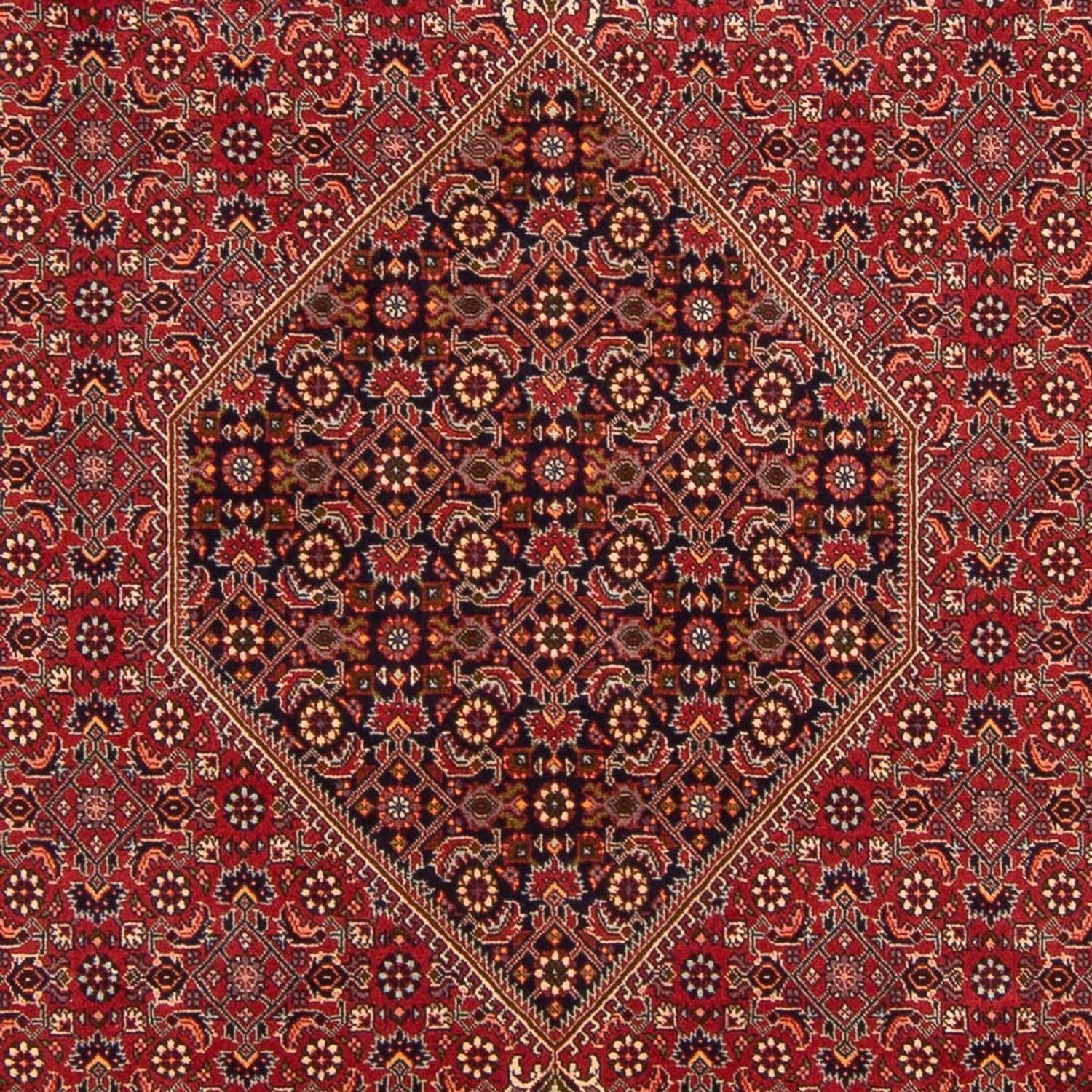 Tapis persan - Bidjar - 300 x 201 cm - rouge