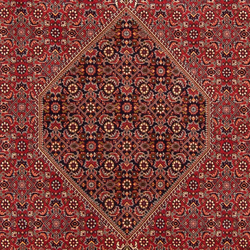 Tapis persan - Bidjar - 300 x 201 cm - rouge