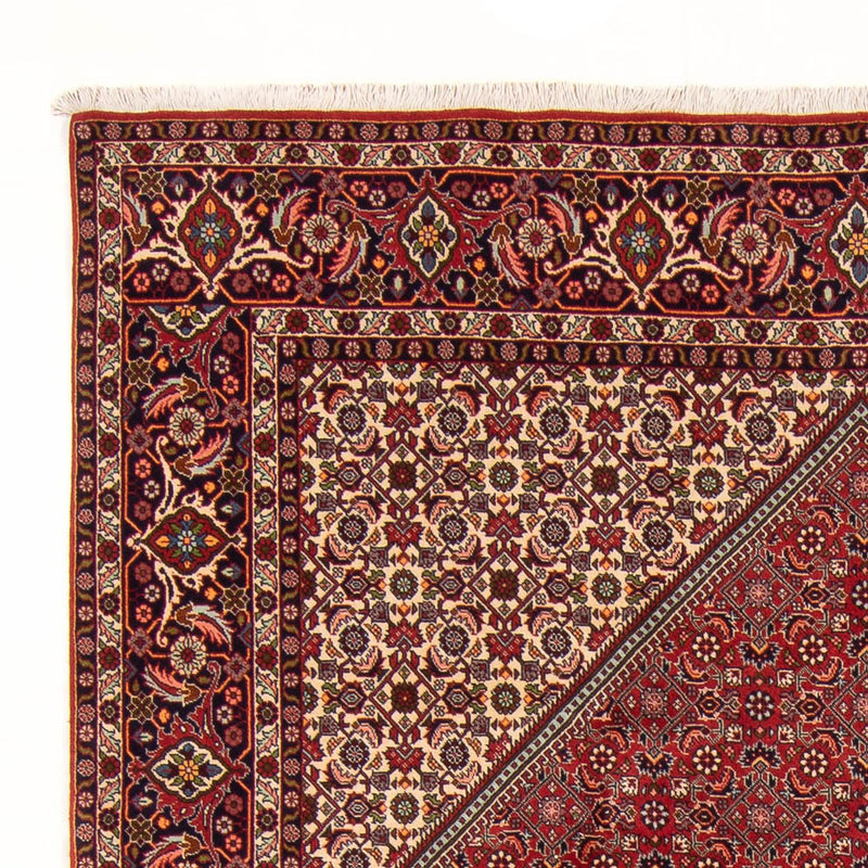 Tapis persan - Bidjar - 300 x 201 cm - rouge