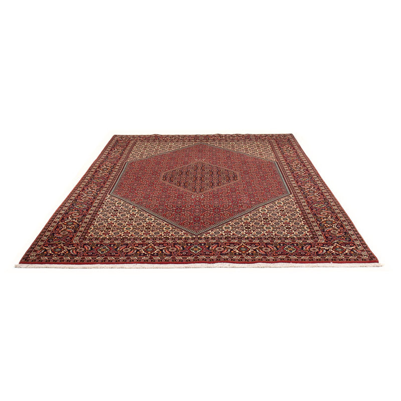 Tapis persan - Bidjar - 300 x 201 cm - rouge