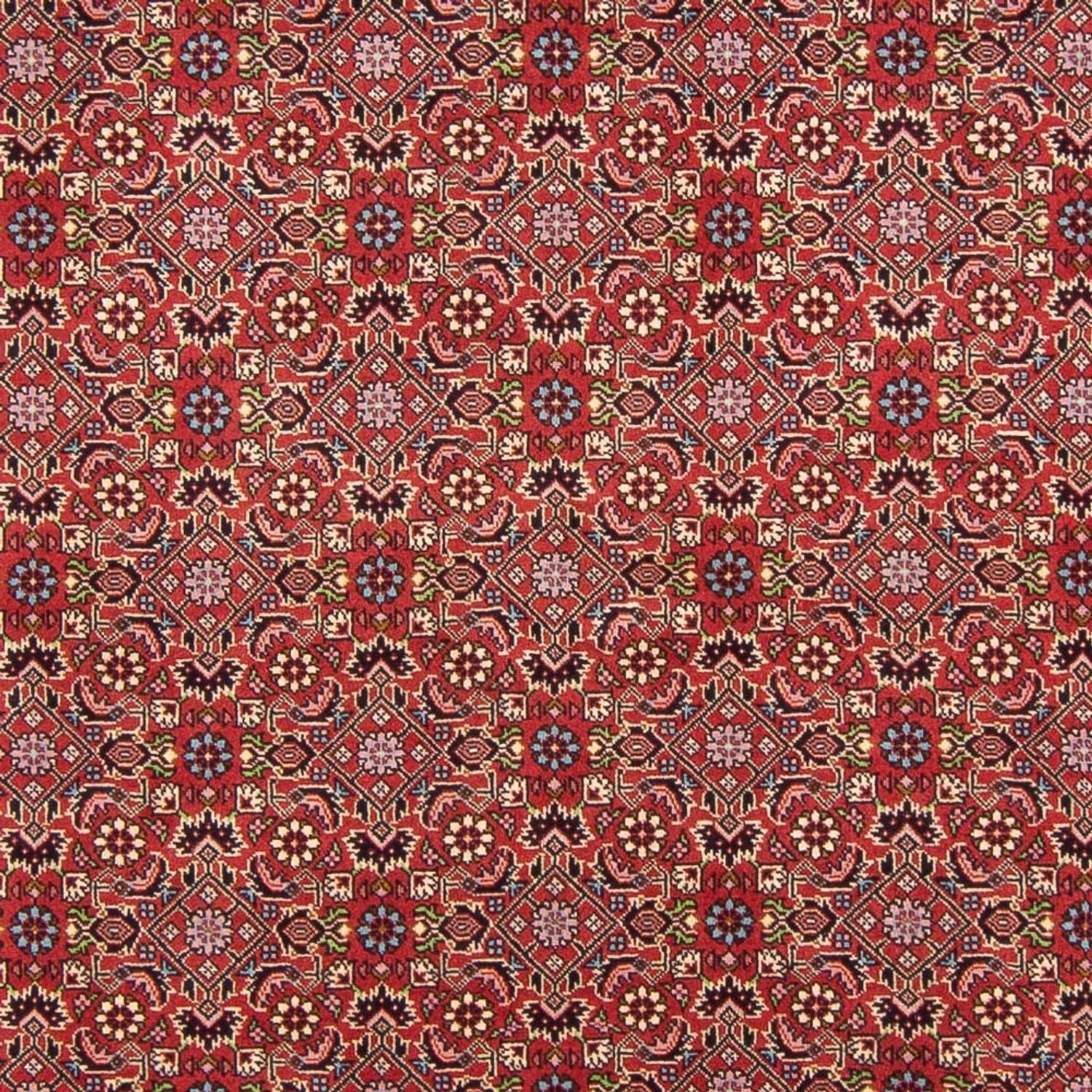 Tapis persan - Bidjar - 290 x 198 cm - rouge