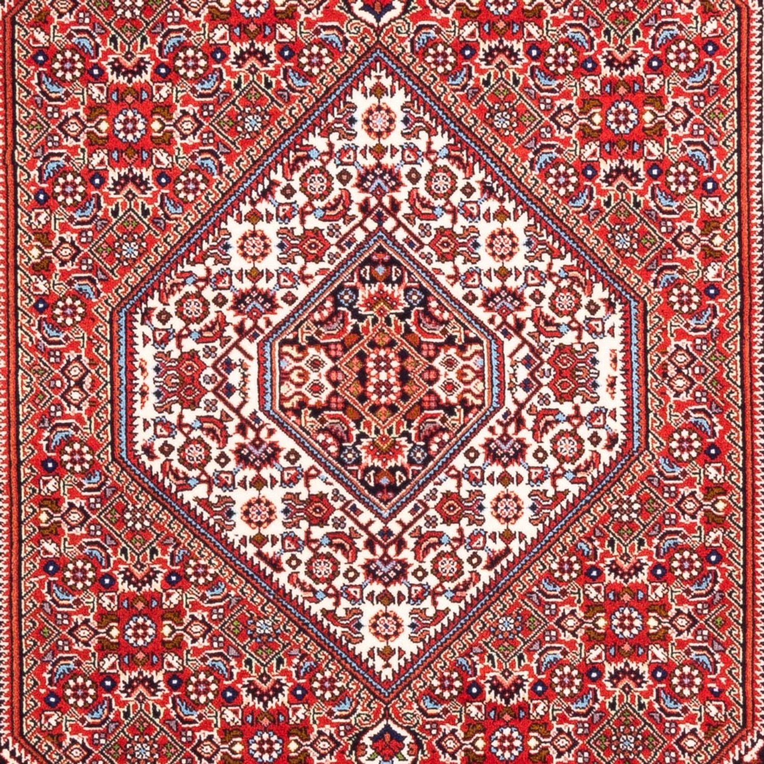 Tapis persan - Bidjar - 168 x 109 cm - rouge