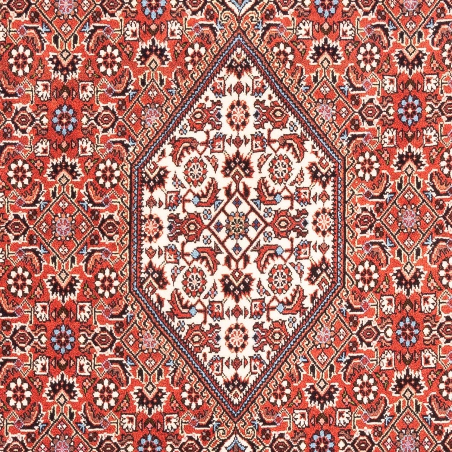 Tapis persan - Bidjar - 187 x 107 cm - rouge