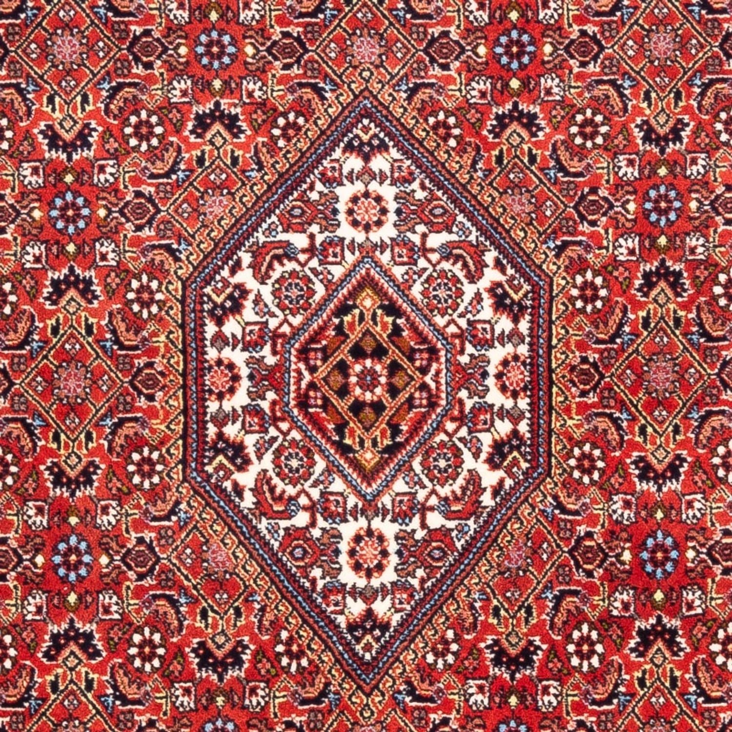 Tapis persan - Bidjar - 174 x 108 cm - rouge