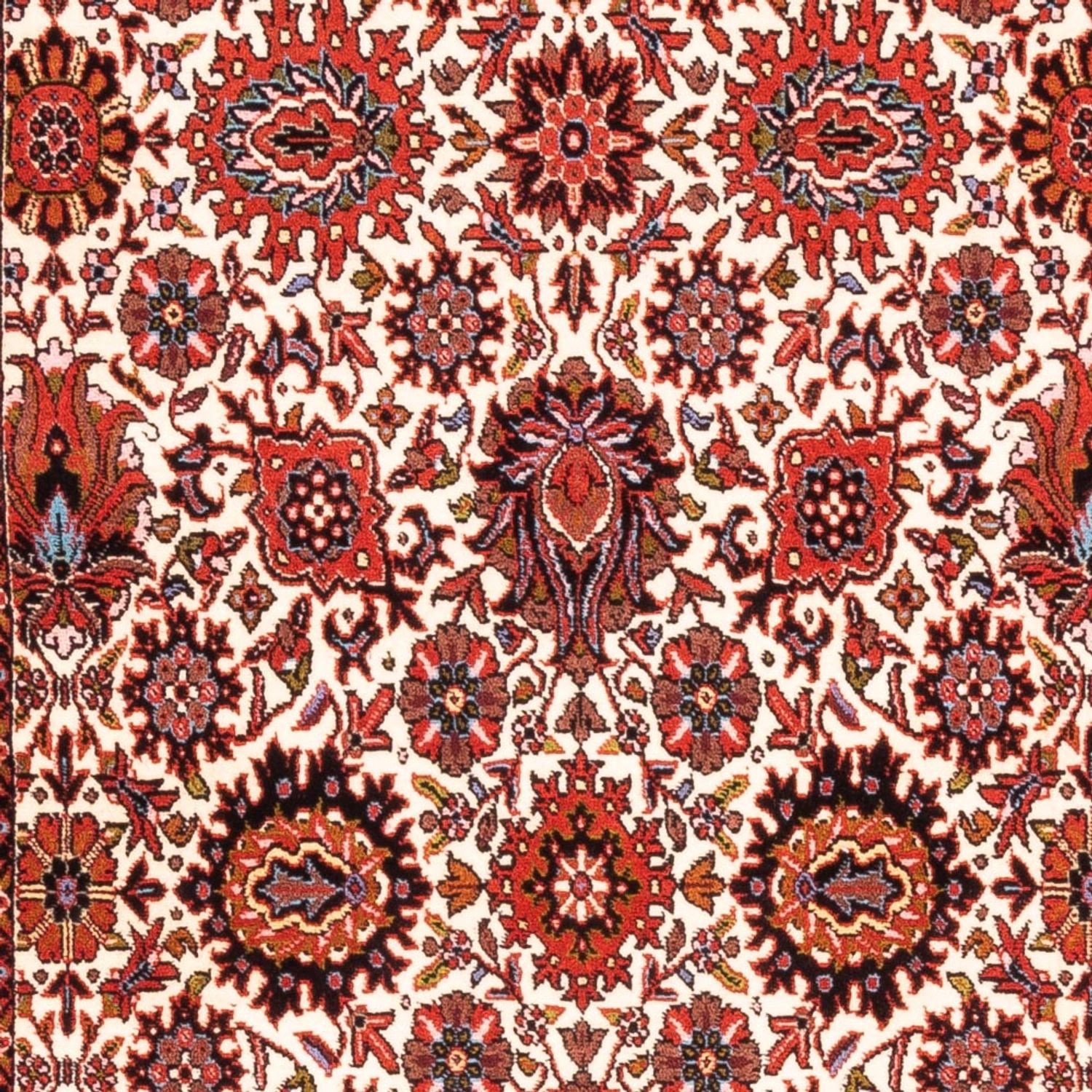 Tapis de couloir Tapis persan - Bidjar - 183 x 104 cm - crème