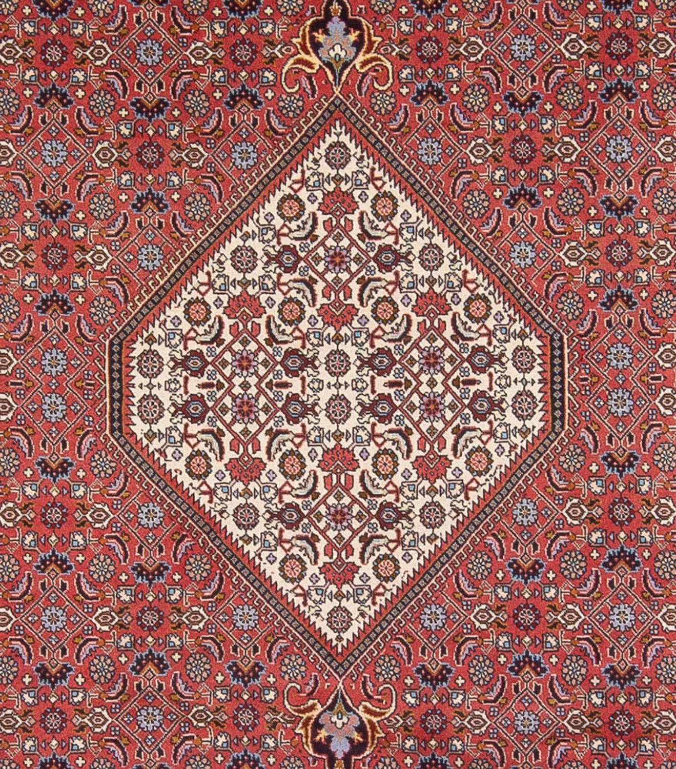 Tapis persan - Bidjar - 337 x 250 cm - rouge foncé