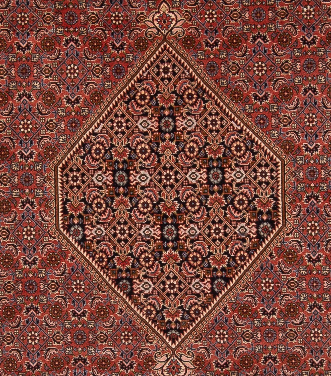 Tapis persan - Bidjar - 344 x 250 cm - rouille