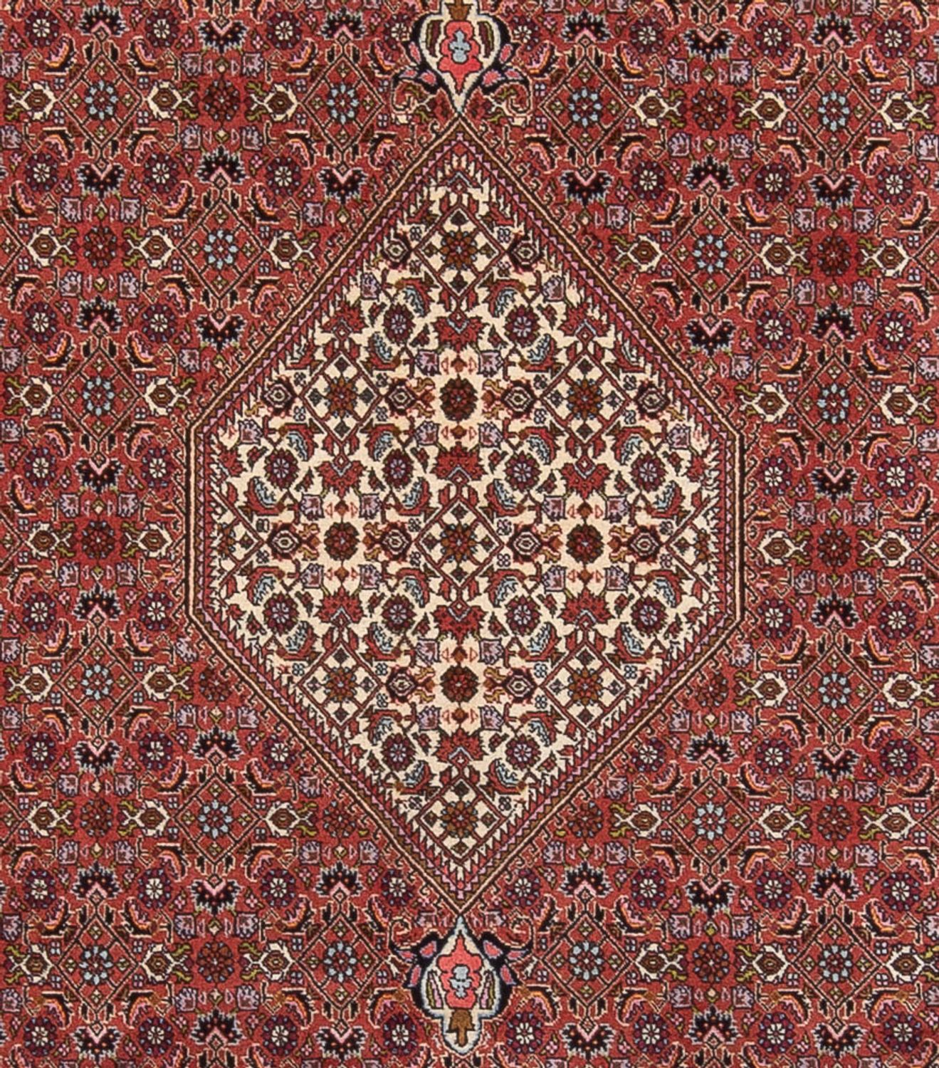 Tapis persan - Bidjar - 343 x 247 cm - rouille